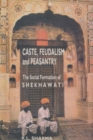 Image for Caste, Feudalism and Peasantry : Social Formation of Shekhawati