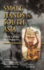 Image for Small hands in South Asia  : child labour in perspective