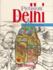 Image for Prehistoric Delhi and Its Neighbourhood