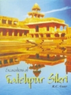 Image for Excavations at Fatehpur Sikri : A National Project