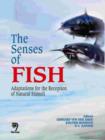 Image for The Senses of Fish : Adaptations for the Reception of Natural Stimuli