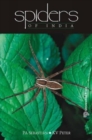 Image for Spiders of India