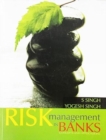 Image for Risk Management in Banks