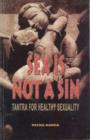 Image for Sex is Not a Sin