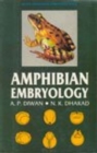Image for Amphibian Embryology