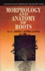 Image for Morphology and Anatomy of Roots