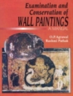 Image for The Examination and Conversation of Wall Paintings