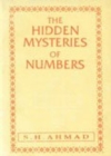 Image for The Hidden Mysteries of Numbers