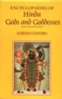 Image for Encyclopaedia of Hindu Gods and Goddesses