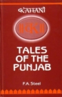 Image for Folktales of the Punjab