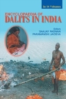 Image for Encyclopaedia of Dalits in India: v. 3