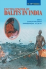 Image for Encyclopaedia of Dalits in India: v. 8