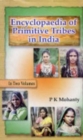 Image for Encyclopaedia of Primitive Tribes in India