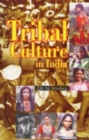 Image for Tribal Culture in India