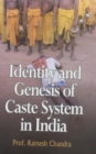 Image for Identity and Genesis of Caste System in India