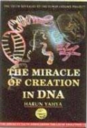 Image for The Miracle of Creation in DNA