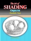 Image for The Art of Shading Objects