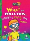 Image for What are Pollution, Smoke, Smog, and More...: Key stage 2