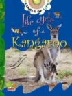 Image for Life Cycle of a Kangaroo: Key stage 1