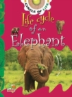 Image for Life Cycle of an Elephant: Key stage 1