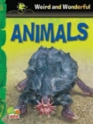 Image for Animals: Key stage 1