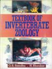 Image for Textbook of Invertebrate Zoology