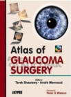 Image for Atlas of Glaucoma Surgery