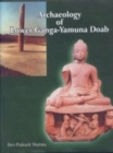 Image for Archaeology of Lower Ganga Yamuna Doab : 1200 BC to 1200 AD