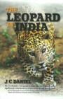 Image for Leopard in India