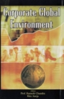 Image for Corporate Global Environment 2004