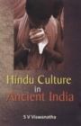 Image for Hindu Culture in Ancient India