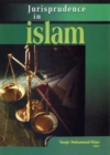 Image for Jurisprudence in Islam
