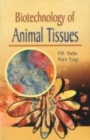 Image for Biotechnology of Animal Tissues