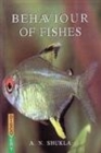 Image for Behaviour of Fishes