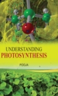 Image for Understanding Photosynthesis