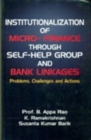 Image for Institutionalization of Micro Finance Through Self Help Group and Bank Linkages