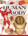 Image for Knowledge Safari : Human Body