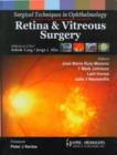 Image for Surgical Techniques in Ophthalmology: Retina and Vitreous Surgery
