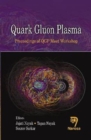 Image for Quark Gluon Plasma