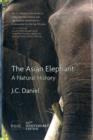 Image for Asian Elephant