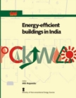 Image for Energy Efficient Buildings in India