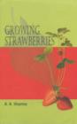 Image for Growing Strawberries