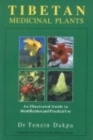 Image for Tibetan Medicinal Plants : An Illustrated Guide to Identification and Practical Use
