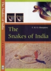 Image for The Snakes of India