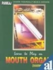 Image for Learn to Play on Mouth Organ