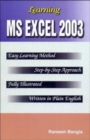Image for Learning Ms Excel 2003
