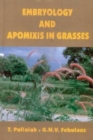 Image for Embryology and Apomixis in Grasses