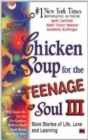 Image for Chicken Soup for the Teenage Soul III