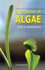 Image for A Textbook of Algae
