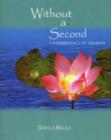 Image for Without a Second